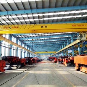 Shan neng reload European crane project