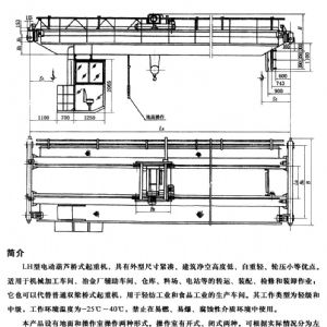 LH electric hoist bridge crane