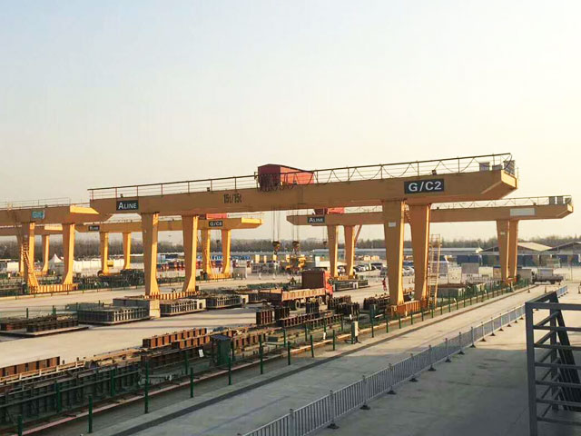 MG type universal gantry crane