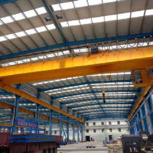 European electric double beam crane